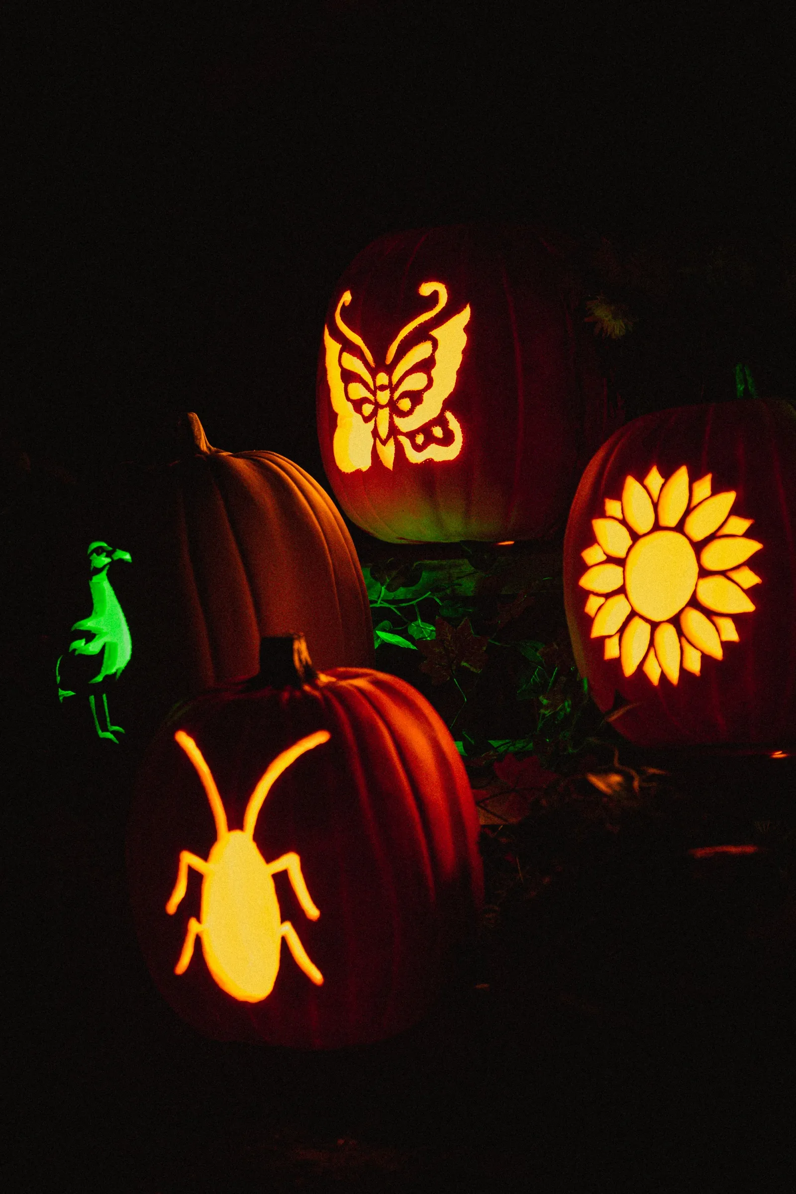Carved pumpkins of a butterfly, a beetle and a sunflower glowing in the dark woods