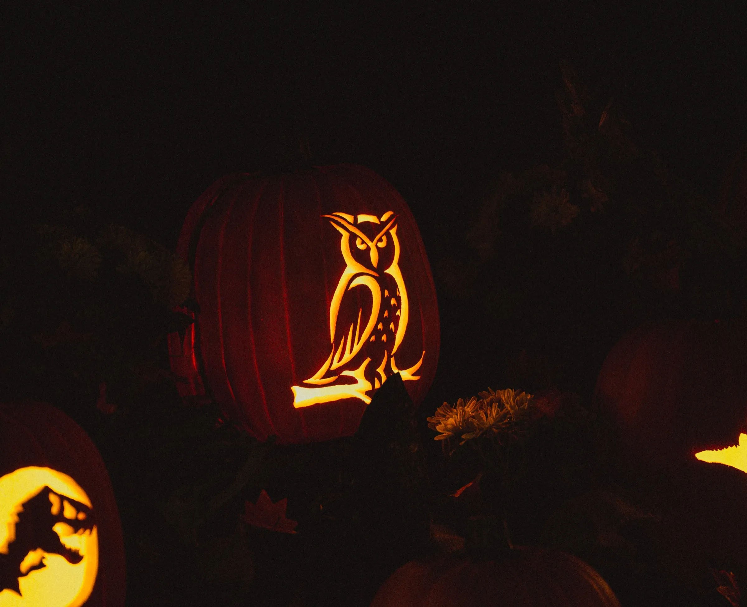 A carved pumpkin of an owl on a branch, glowing in the dark