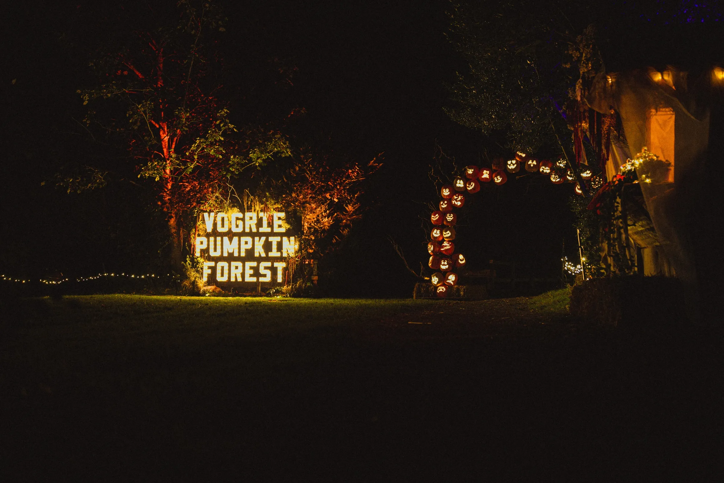 The lit Vogrie Pumpkin Forest sign and pumpkin arch at the trail entrance