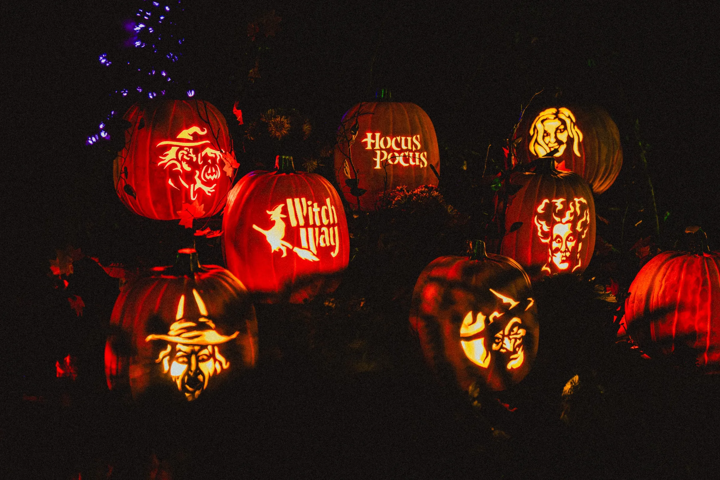 Glowing carved pumpkins of witches, with one reading Witch Way